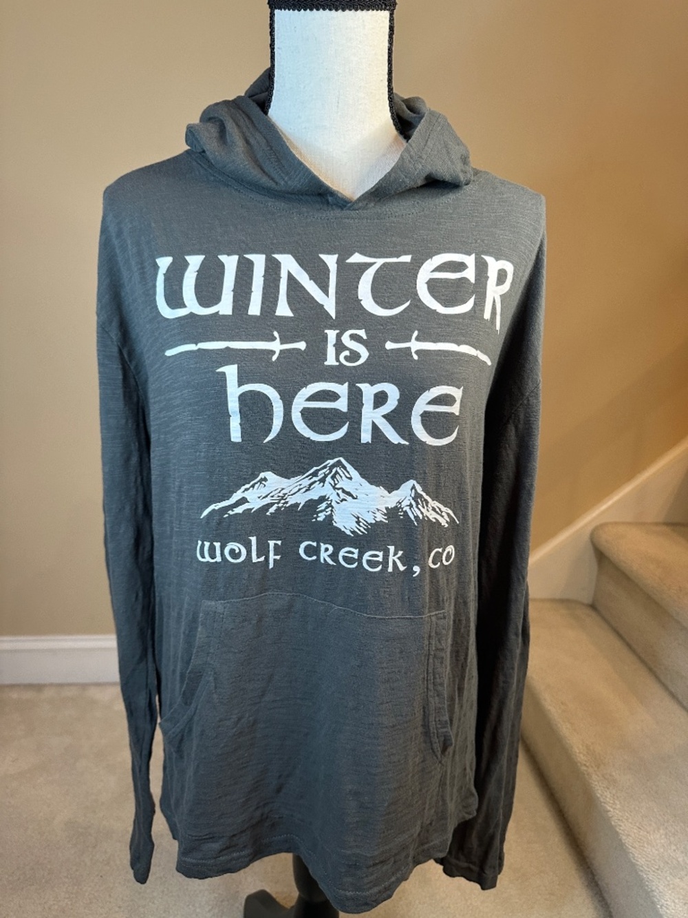 Winter Is Here / Wolf Creek, CO Hoodie